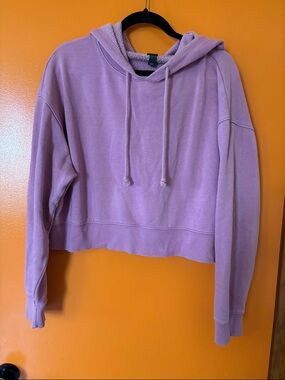 wild fable Lilac Cropped Hoodie Sweatshirt